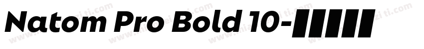 Natom Pro Bold 10字体转换